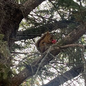 Meet your Posher, Marilee